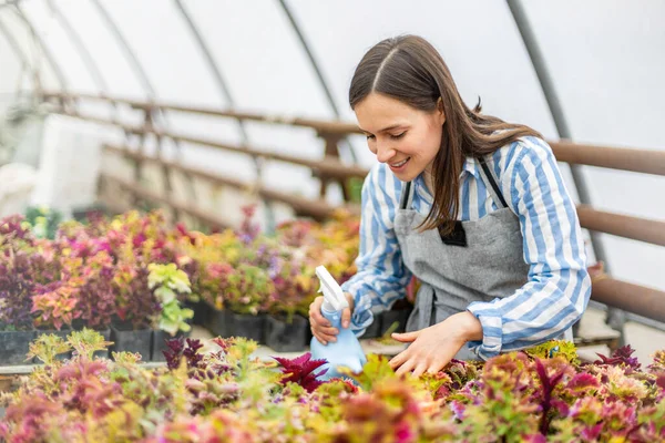 エプロンフラワープランテーションの女性花屋は散水を使用して植物の栽培を楽しむことができます — ストック写真