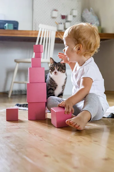 愉快的幼儿安排粉色立方体组装塔楼教育玛丽亚 · 蒙特梭利材料 — 图库照片