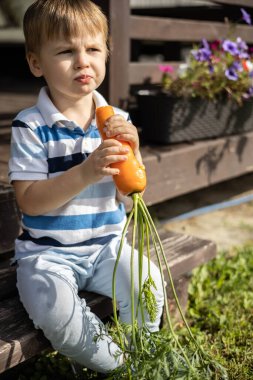 Küçük bir çocuk bahçesinde yetişen bir havucu yiyor. Çocuk evin yanındaki basamaklarda oturuyor..