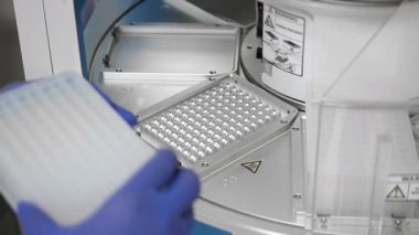 Modern klinik laboratuarında PCR testi için plastik plakayı otomatikleştirilmiş nükleik asit çıkarma istasyonuna yerleştiren bilim insanlarının ellerini kapatın..