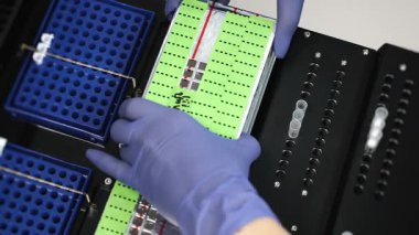 Laboratuvar teknisyenlerinin kaseti örneklerle doldurup PCR hazırlığı için otomatik nükleik asit çıkartma istasyonuna koymalarını sağlayın..