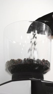 Kahvecinin içinde şeffaf öğütücüye kahve çekirdekleri dolduran barista ya da hazırlık aşamasında üretim tesisi.