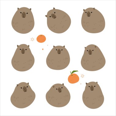 New capybara set 1 cute on a White background, vector illustration.