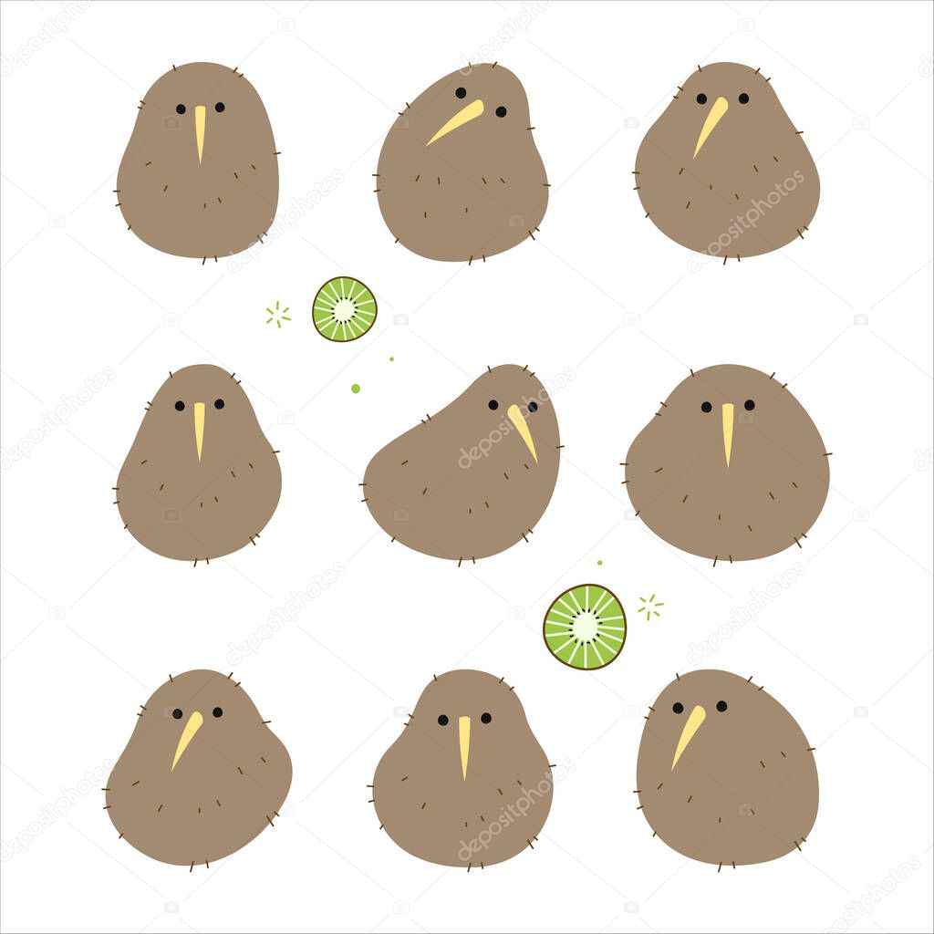 Kiwi bird set 3 cute on a White background, vector illustration.