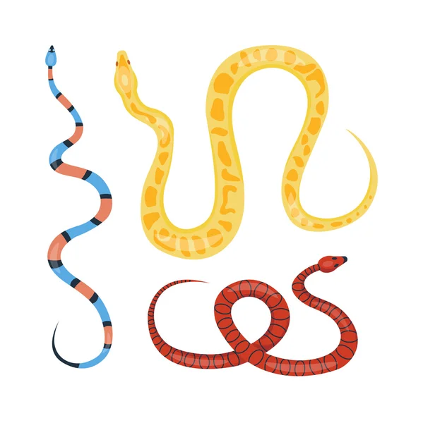 Serpiente reptil vector de dibujos animados — Vector de stock