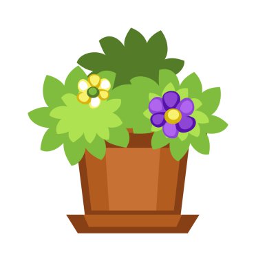 tencerede ev çiçekleri