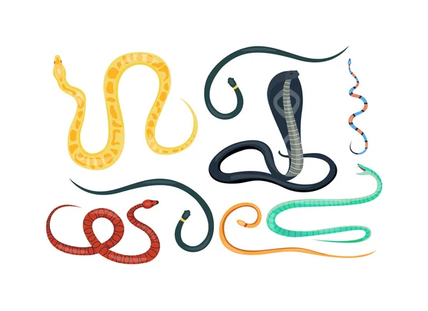 Serpiente reptil vector de dibujos animados — Vector de stock