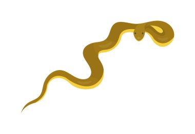 Yılan sürüngen karikatür vektör