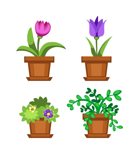 Huis bloemen in pot — Stockvector