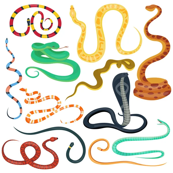 Vector flat snakes collection — Stock Vector