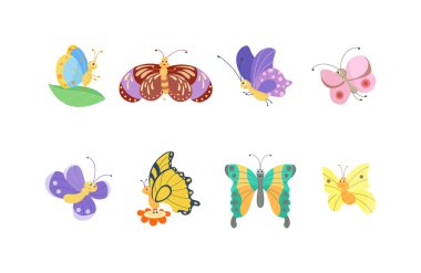 Beyaz izole şirin kelebek vektör