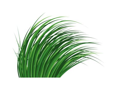 çim vektör çizim.
