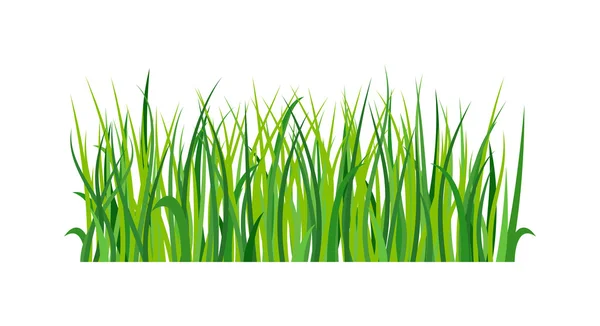 Illustrazione vettoriale dell'erba . — Vettoriale Stock