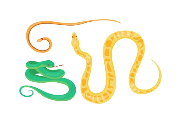 Serpiente reptil vector de dibujos animados — Vector de stock