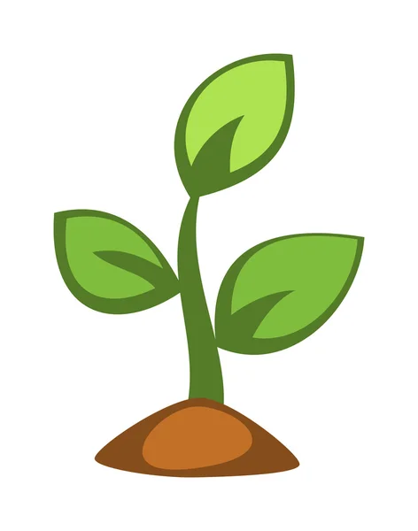 Jeune pousse de plante verte — Image vectorielle