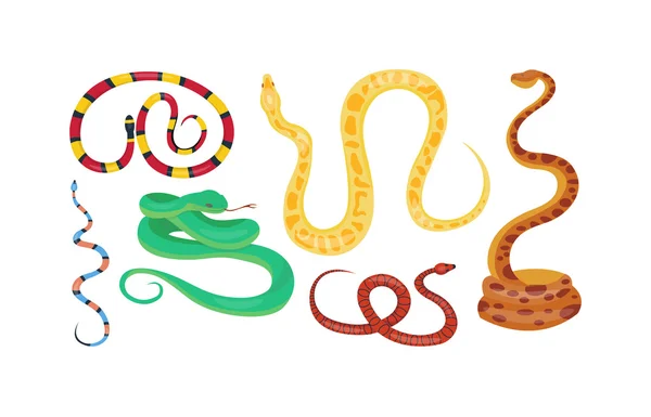 Serpiente reptil vector de dibujos animados — Archivo Imágenes Vectoriales