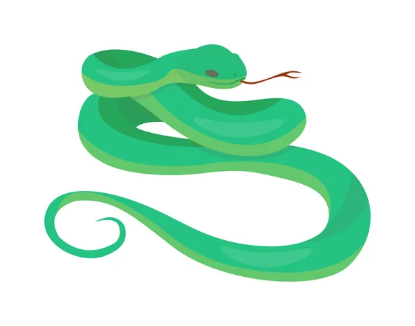 Python boa slang — Stockvector