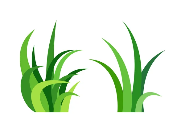 Gras vectorillustratie. — Stockvector