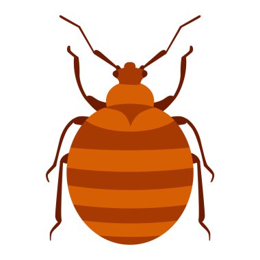 Beyaz üzerinde izole böcek böcek böcek