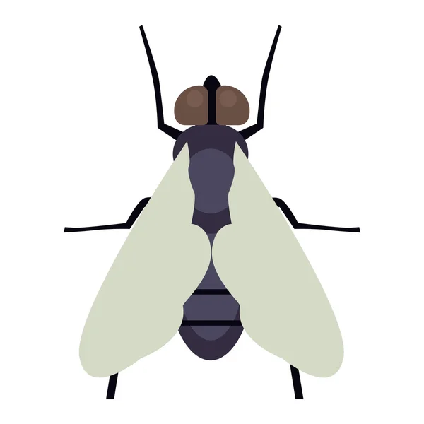 Mosca insecto vector aislado — Archivo Imágenes Vectoriales