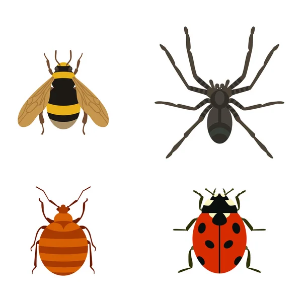 Insect icons flat set isolated on white background — Stock Vector