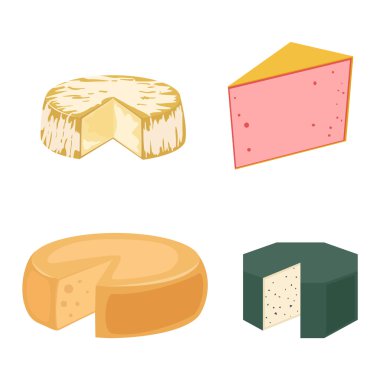 Peynir çeşitleri illüstrasyon vektör.