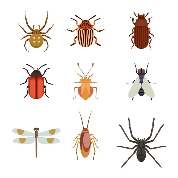 Icone di insetti set piatto isolato su sfondo bianco — Vettoriale Stock