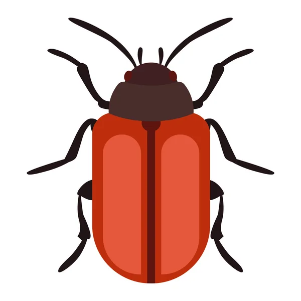 Bogár bug rovar izolált fehér — Stock Vector