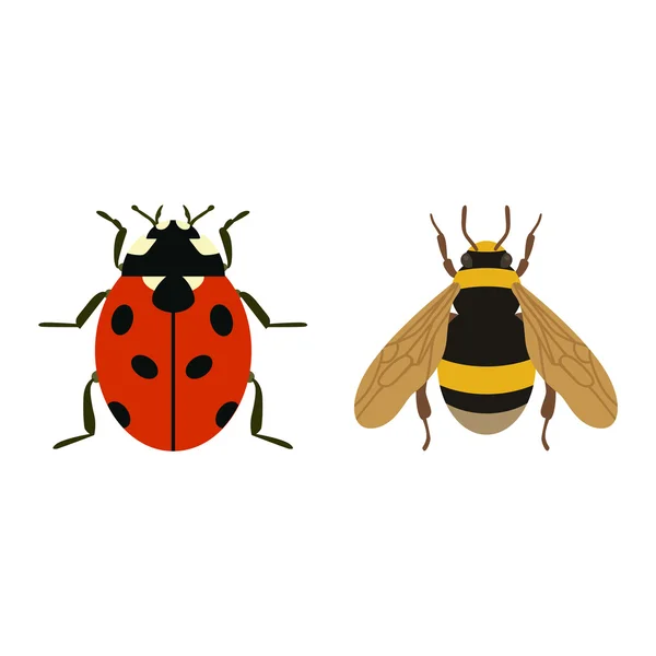 Mosca insecto vector aislado — Archivo Imágenes Vectoriales