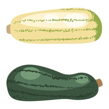 Kabak vektör illüstrasyon izole