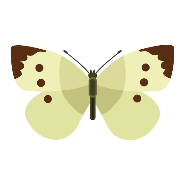 Lindo vector de mariposa aislado en blanco — Vector de stock