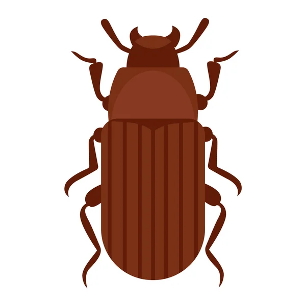 Insecto insecto escarabajo aislado en blanco — Archivo Imágenes Vectoriales