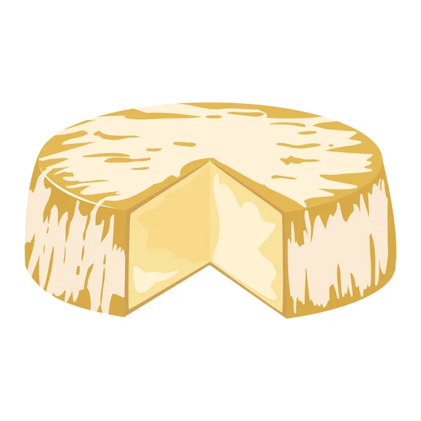 Ícone de ilustração vetorial de queijo —  Vetores de Stock