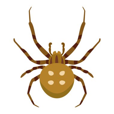 Beyaz üzerinde izole böcek böcek böcek