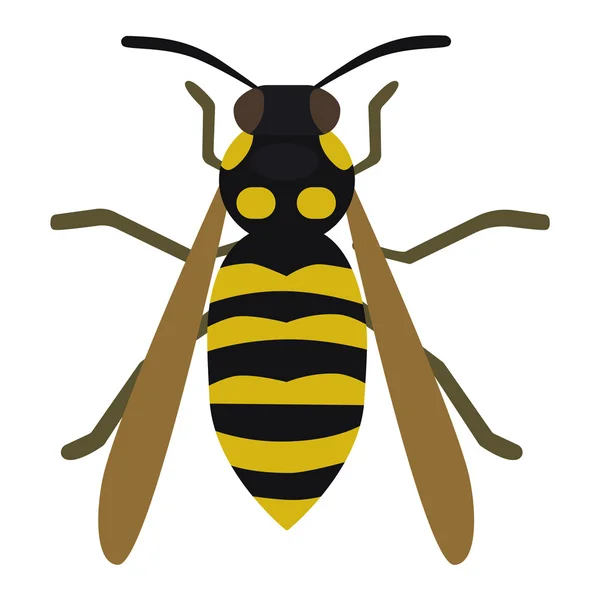 꿀 노란 꿀벌 파리 곤충 — 스톡 벡터