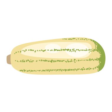 Kabak vektör illüstrasyon izole