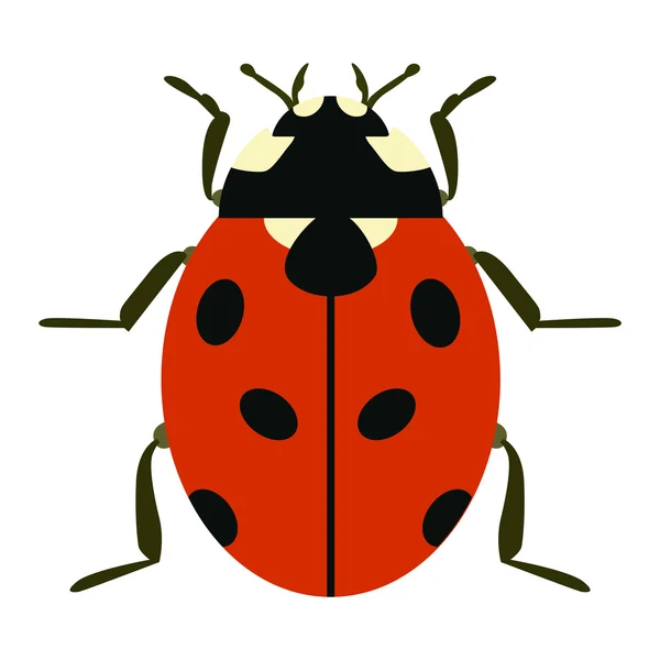 Linda mariquita de dibujos animados vector insecto — Archivo Imágenes Vectoriales