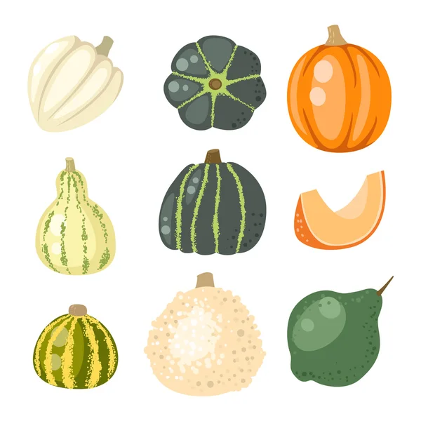 Pumpkin vector illustration isolated — Stock Vector