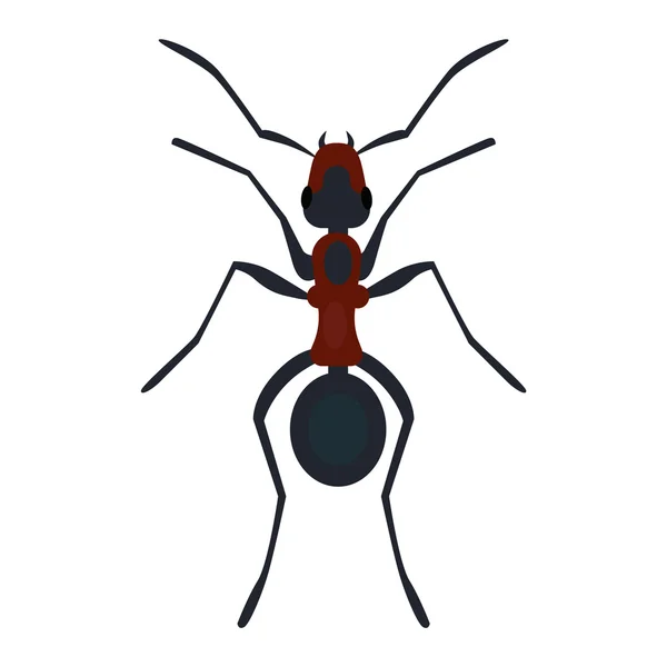 Ant nsect lapos vektor. — Stock Vector