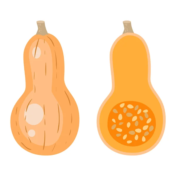 Pumpkin vector illustration isolated — Stock Vector