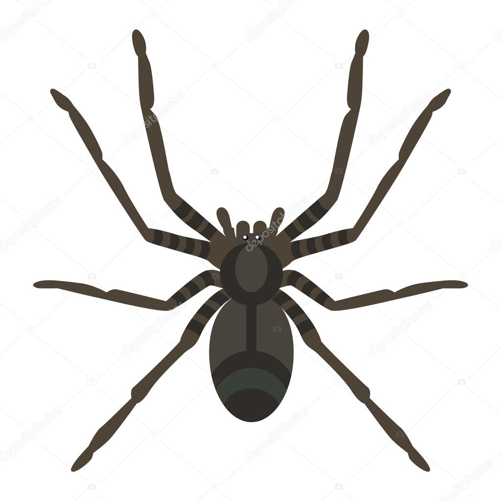 vetor de aranha preta assustadora com uma cara assustadora. design