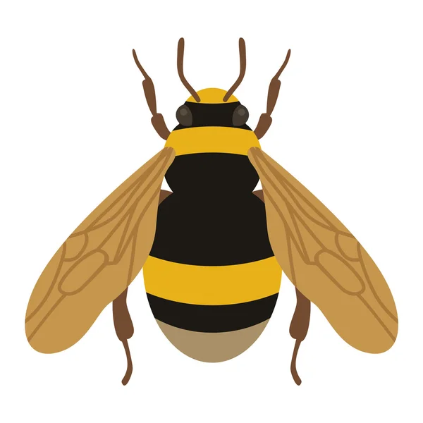 Miód żółty Pszczoła mucha owadów — Wektor stockowy