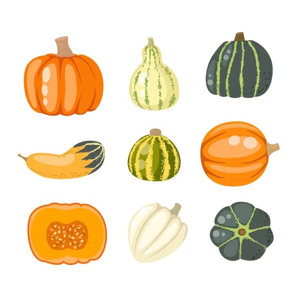 Calabaza vector ilustración aislado — Vector de stock