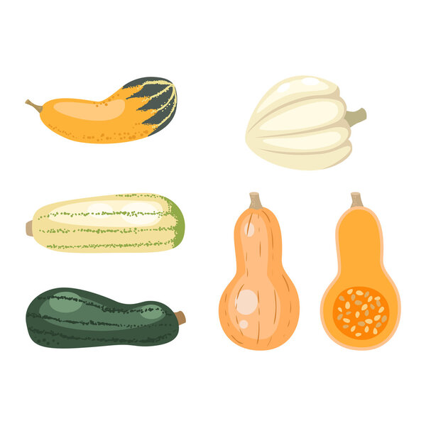 Pumpkin vector illustration isolated