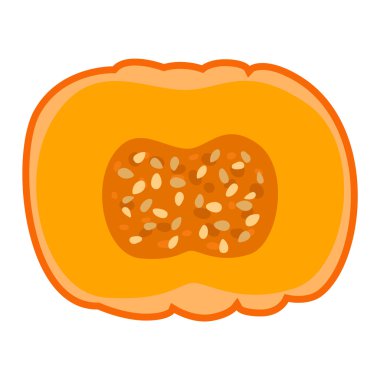 Kabak vektör illüstrasyon izole