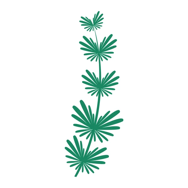 Seaweed vector illustration leaf — Stock Vector