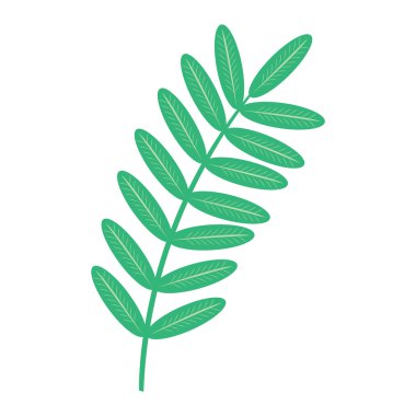 Yosun vektör illüstrasyon yaprağı