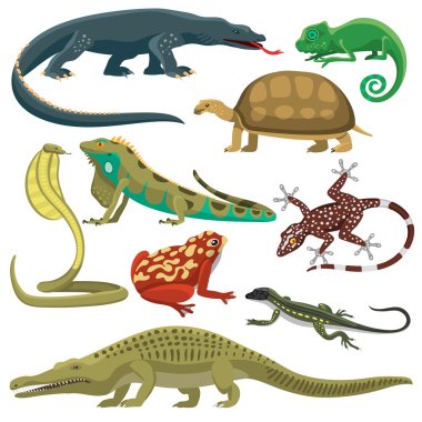 Reptiles animals vector set. clipart
