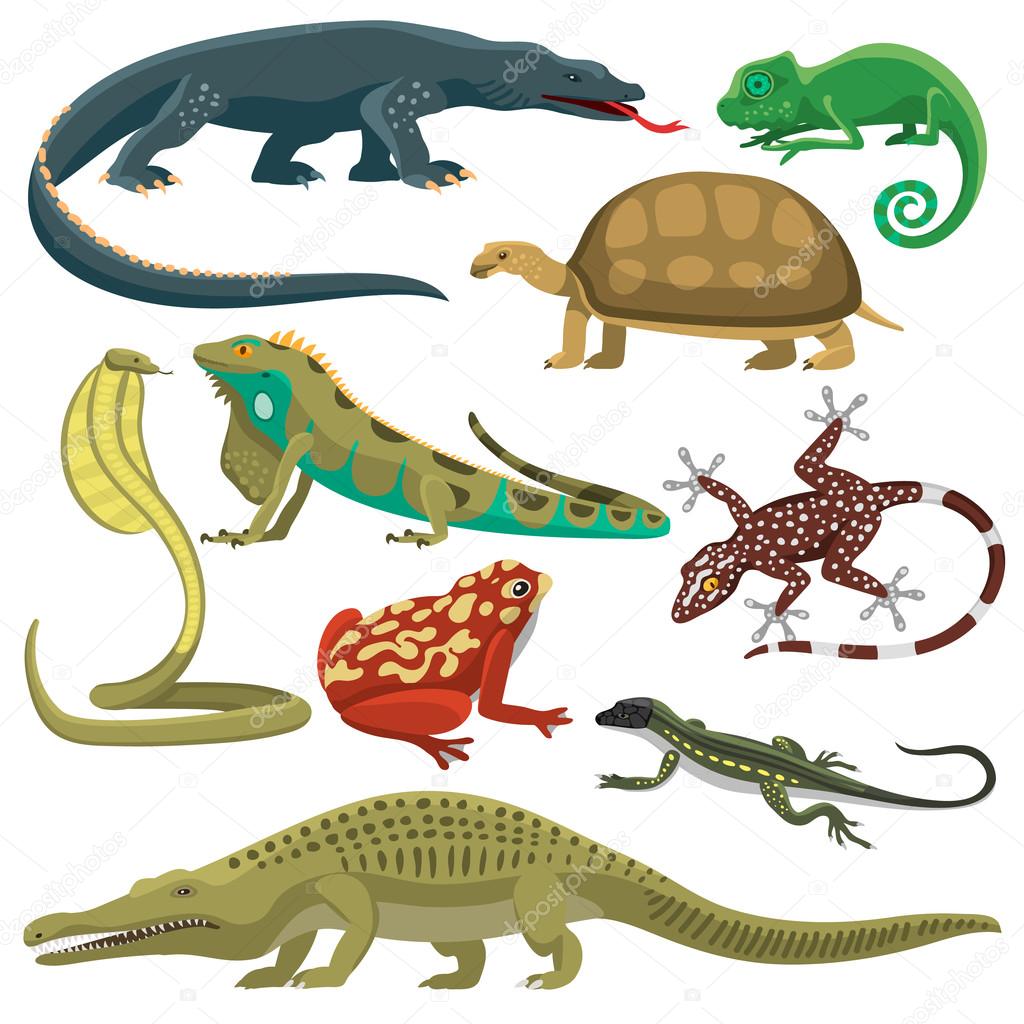 Reptiles animals vector set.