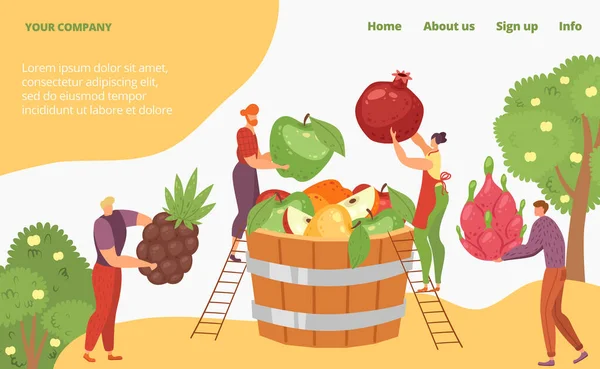 Cosecha frutas naturales orgánicas tropicales, minúscula página de aterrizaje de concepto de agricultor de carácter, ilustración de vectores de dibujos animados. Banner en línea del sitio web. Vectores De Stock Sin Royalties Gratis